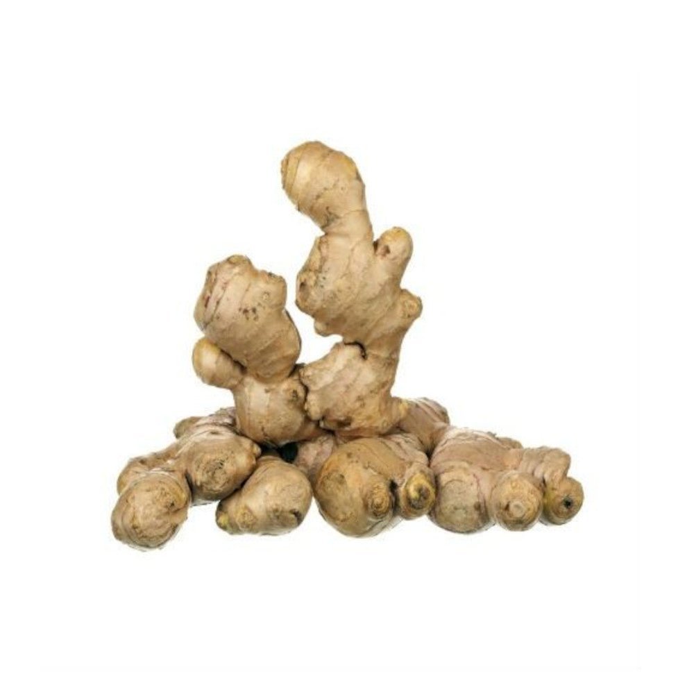 Ginger - Desi